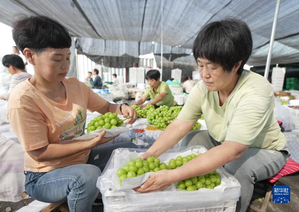 游戏平台注册就送38元
