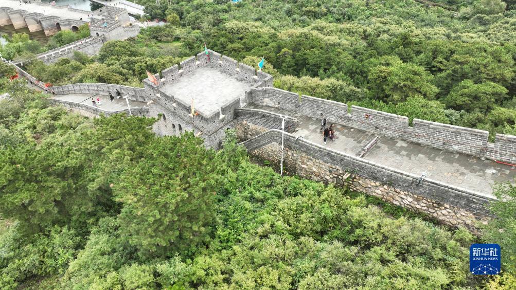 海外的捕鱼游戏市场
